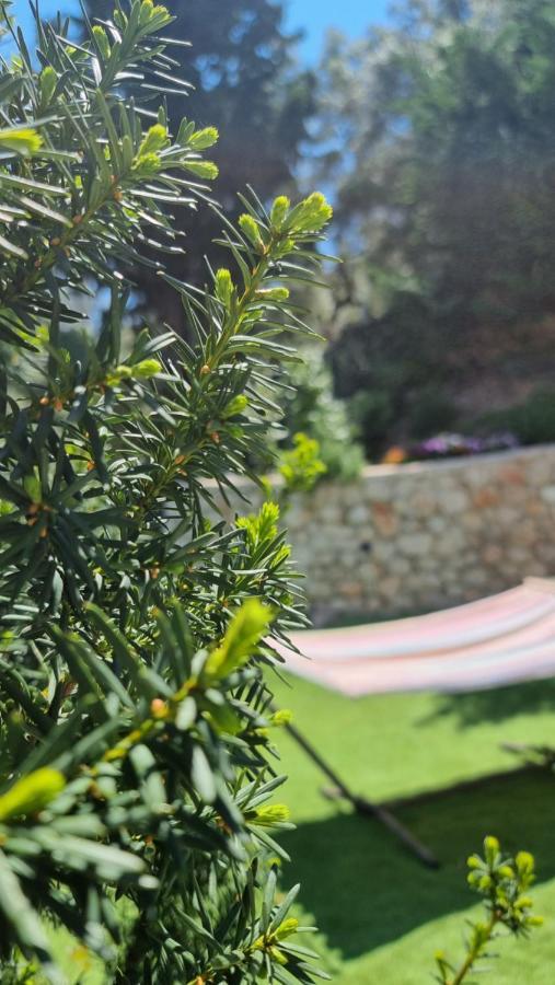 Aquilina Holiday home